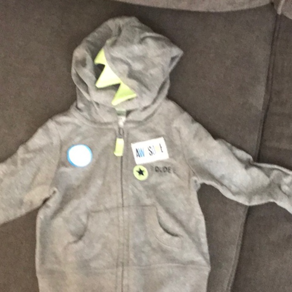 Baby boys dinosaur hoodie